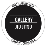 Logo de Gallery Jiujitsu